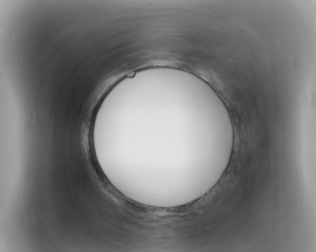 X0000114220098200910091057