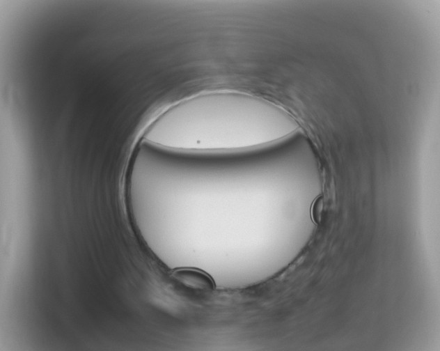 X0000114220099200910091057
