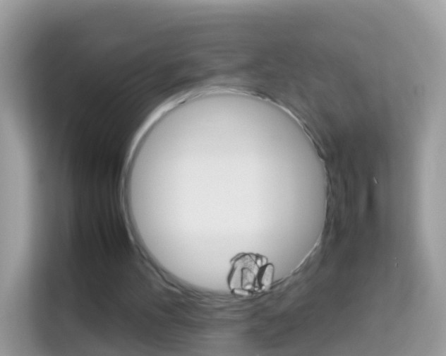 X0000114220100200910091057