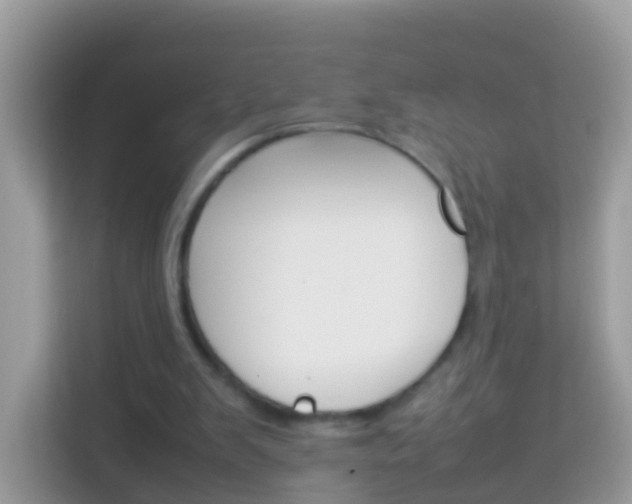 X0000114220103200910091057