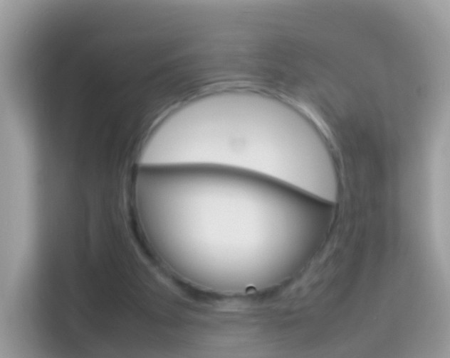 X0000114220105200910091057