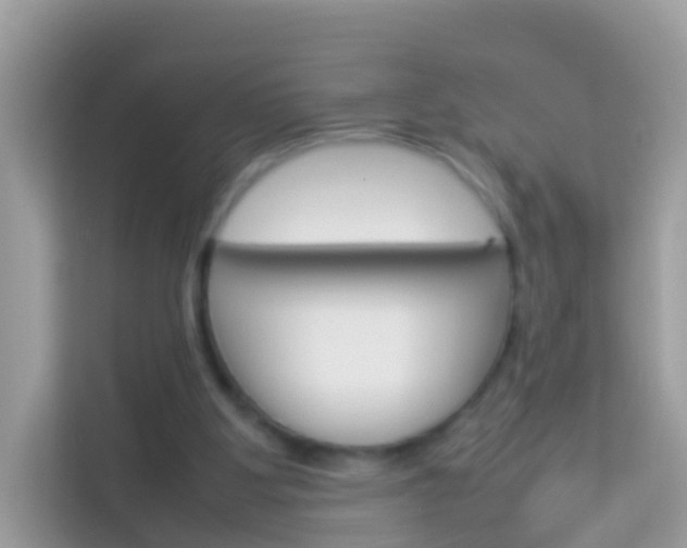 X0000114220107200910091057