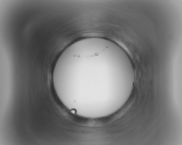 X0000114220109200910091057
