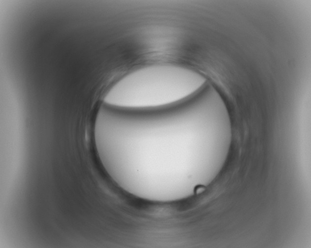 X0000114220115200910091057