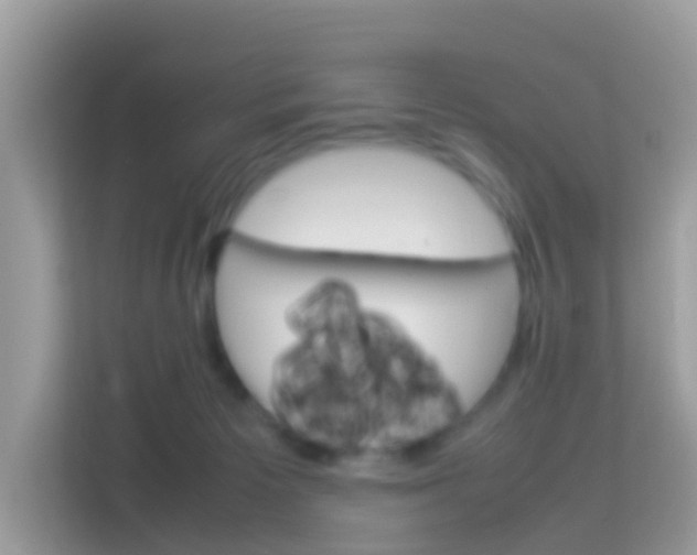 X0000114220125200910091056