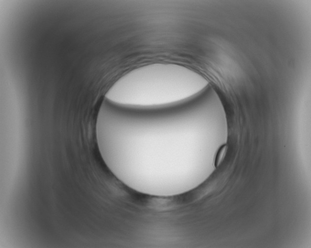 X0000114220139200910091056