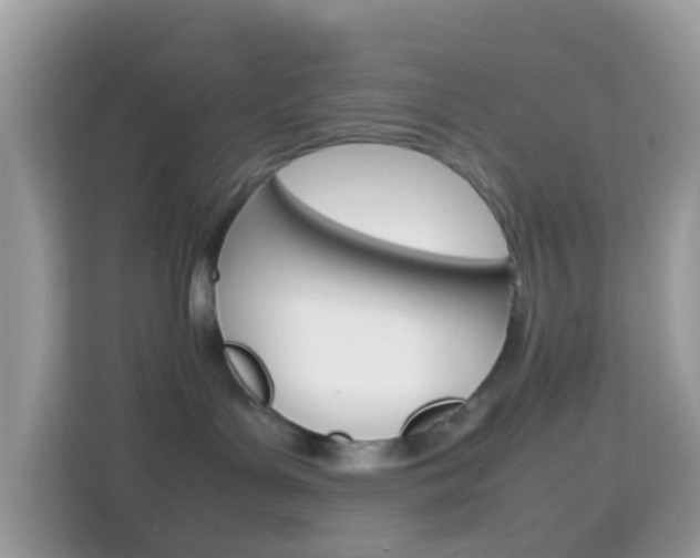 X0000114220143200910091056