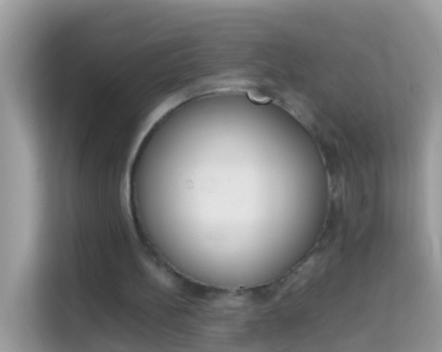 X0000114220148200910091056