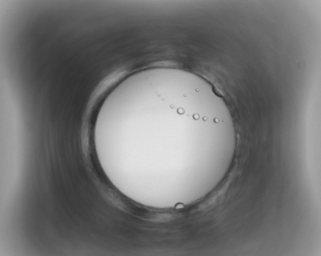 X0000114220149200910091056