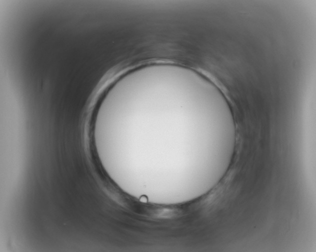X0000114220151200910091056