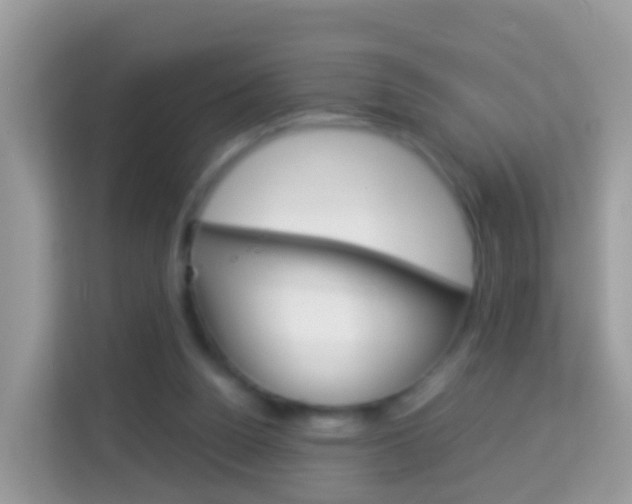 X0000114220160200910091056
