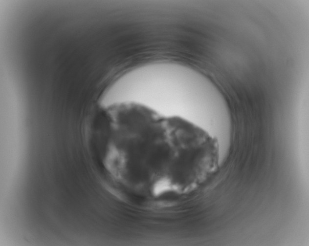 X0000114220165200910091056