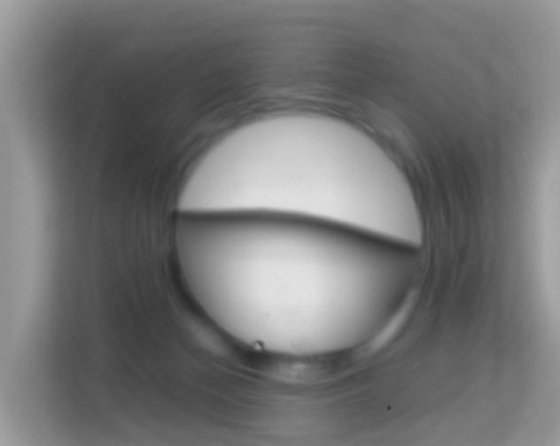 X0000114220174200910091056