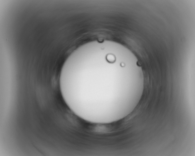 X0000114220177200910091056