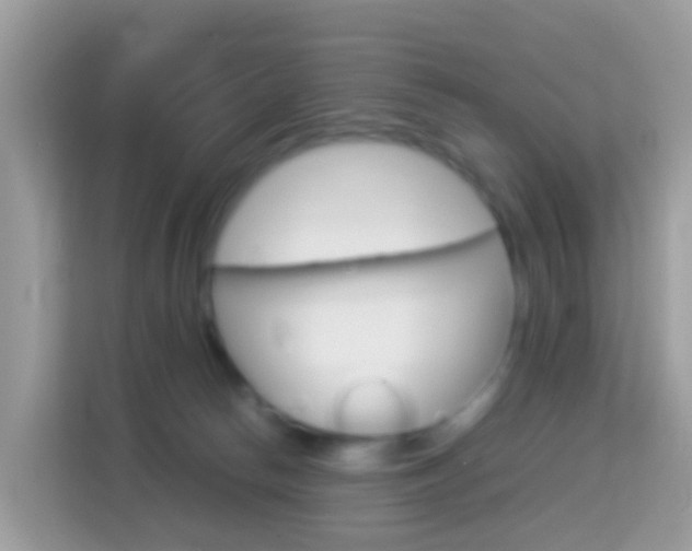 X0000114220178200910091056