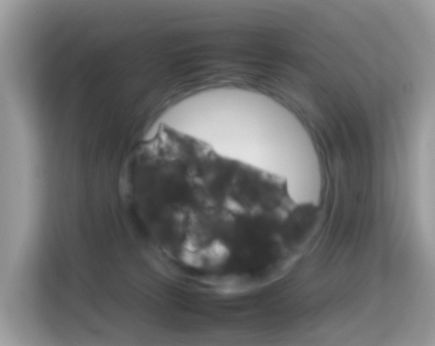 X0000114220181200910091056
