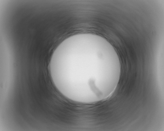X0000114220184200910091056