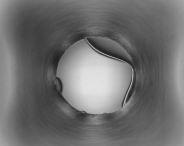X0000114220186200910091056