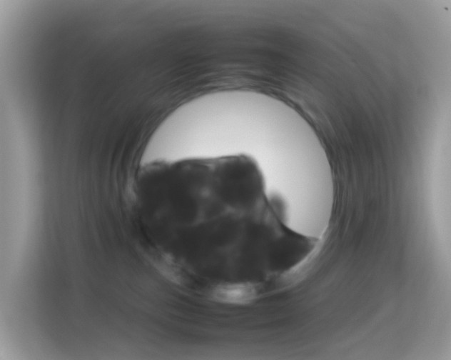 X0000114220187200910091056