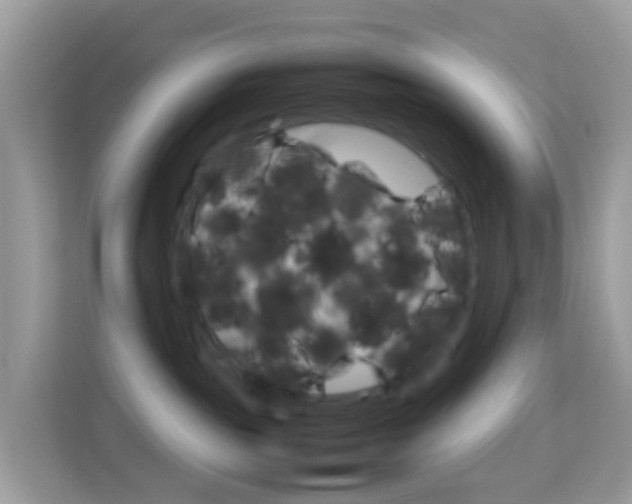 X0000114220189200910091056