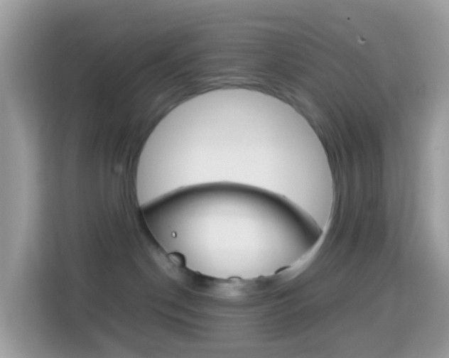 X0000114220190200910091056
