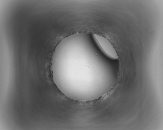 X0000114220192200910091056