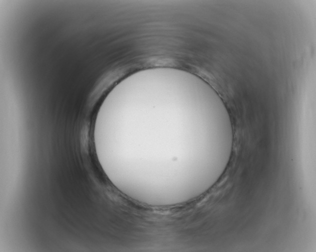 X0000114220194200910091056
