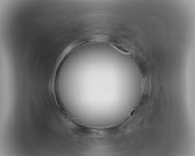 X0000114220195200910091055