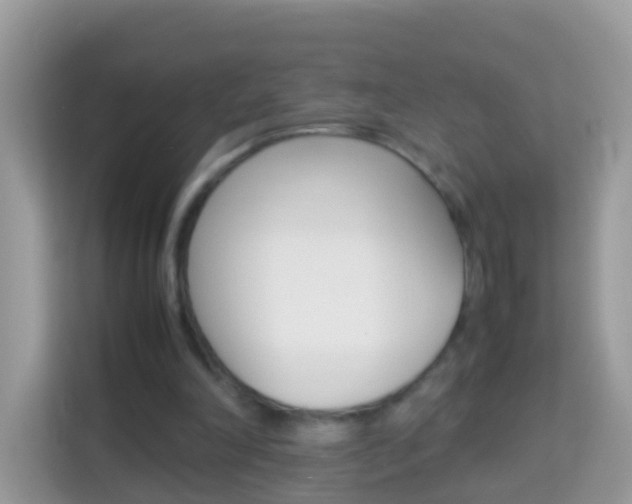 X0000114220198200910091055