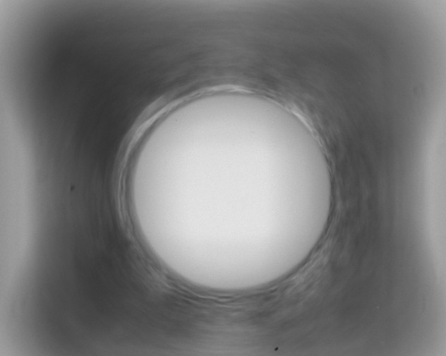 X0000114220199200910091055