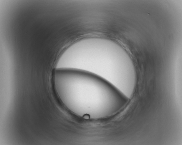 X0000114220201200910091055