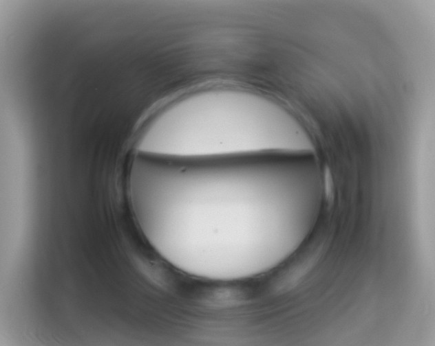 X0000114220204200910091055