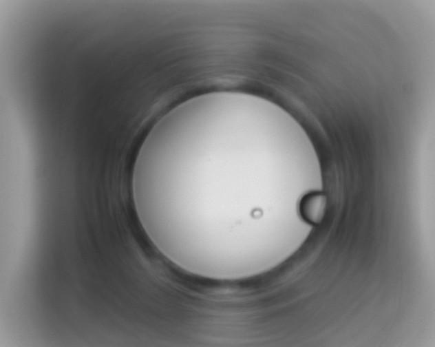 X0000114220212200910091055