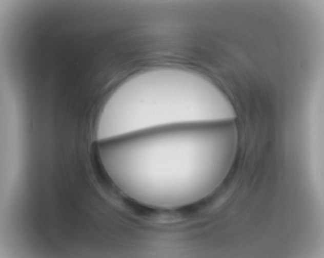 X0000114220215200910091055