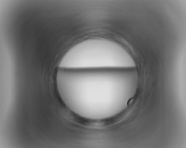 X0000114220217200910091055