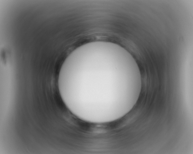 X0000114220222200910091055