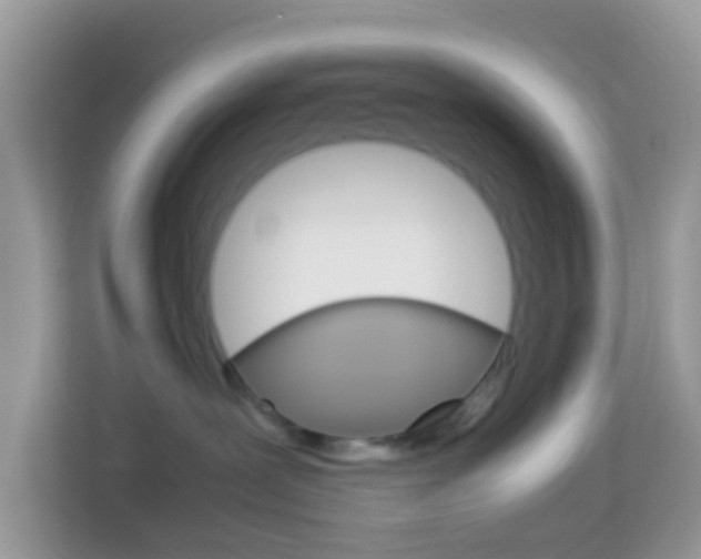X0000114220239200910091055