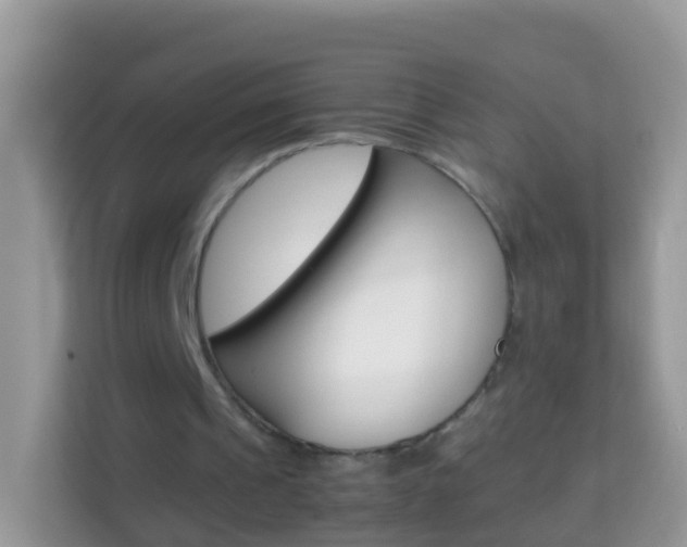 X0000114220241200910091054