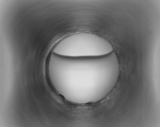 X0000114220242200910091054