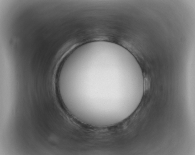 X0000114220243200910091054