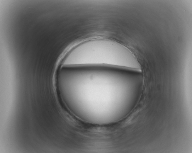 X0000114220244200910091054