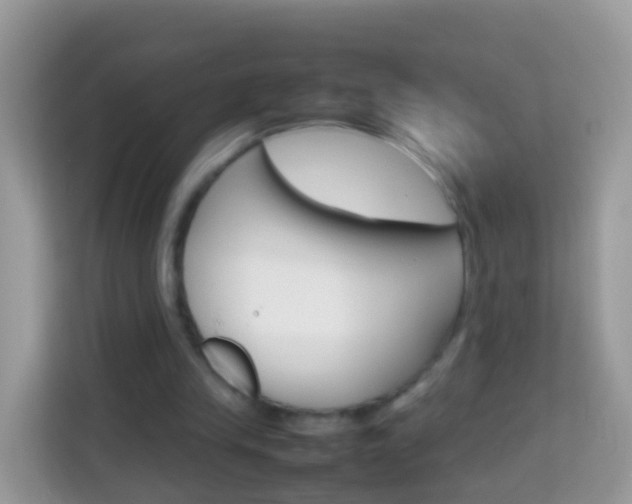 X0000114220245200910091054