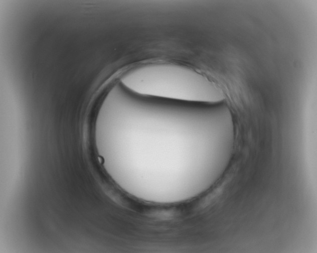 X0000114220247200910091054