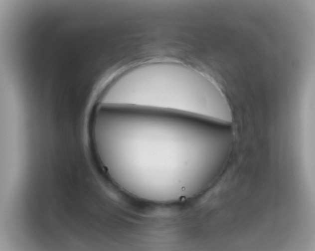 X0000114220248200910091054