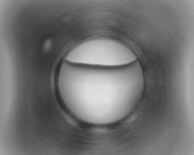 X0000114220250200910091054