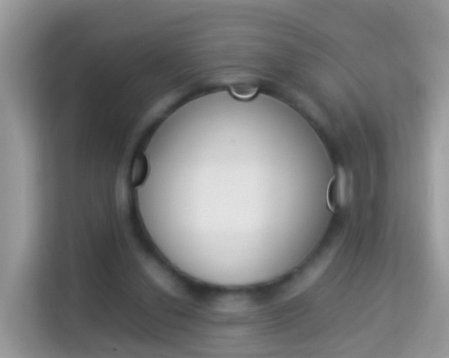 X0000114220252200910091054