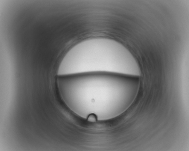 X0000114220260200910091055
