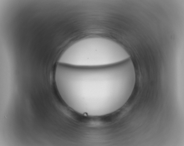 X0000114220262200910091055