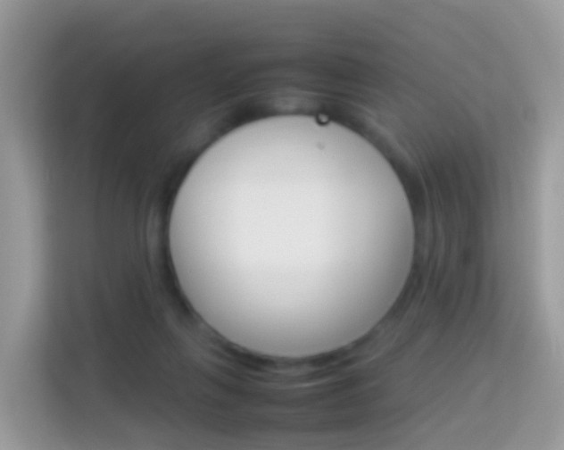 X0000114220263200910091055