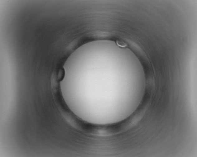 X0000114220264200910091055